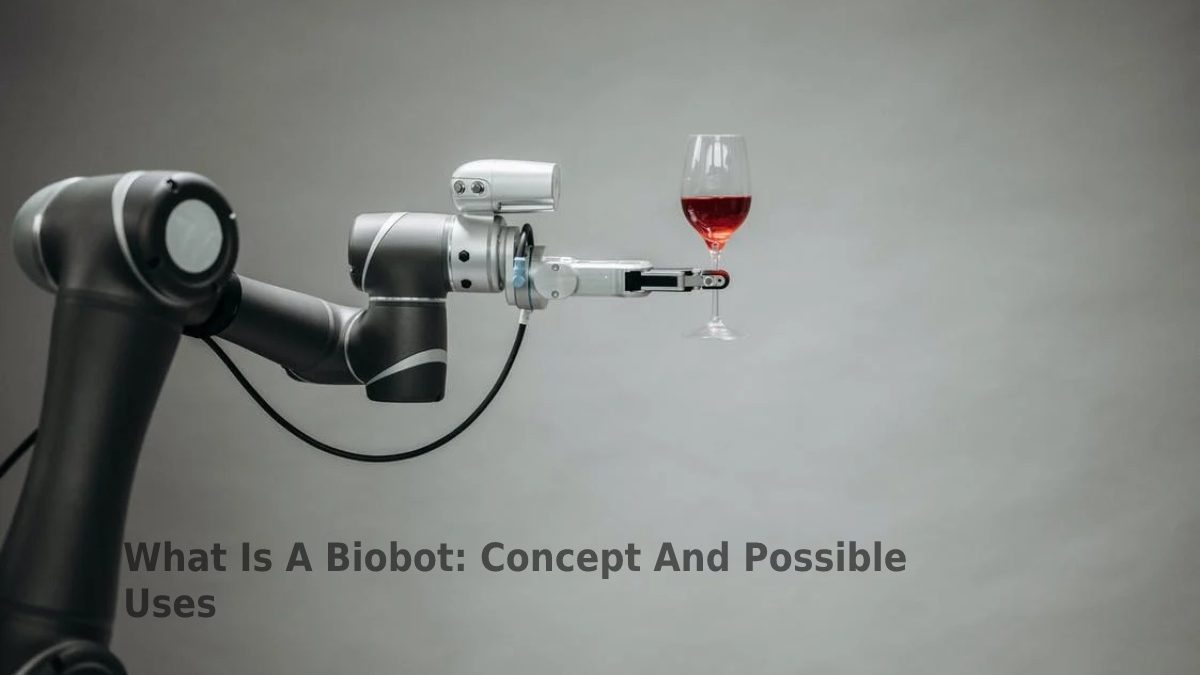 What Is A Biobot: Concept And Possible Uses